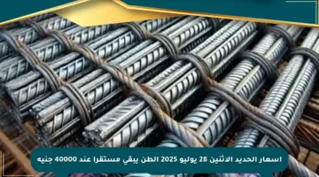 أسعار الحديد الاثنين 28 يوليو 2025 الطن يبقى مستقرا عند 40000 جنيه